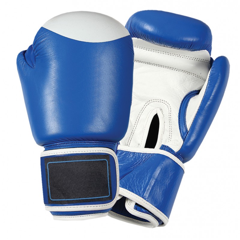 Boxing Gloves 6
